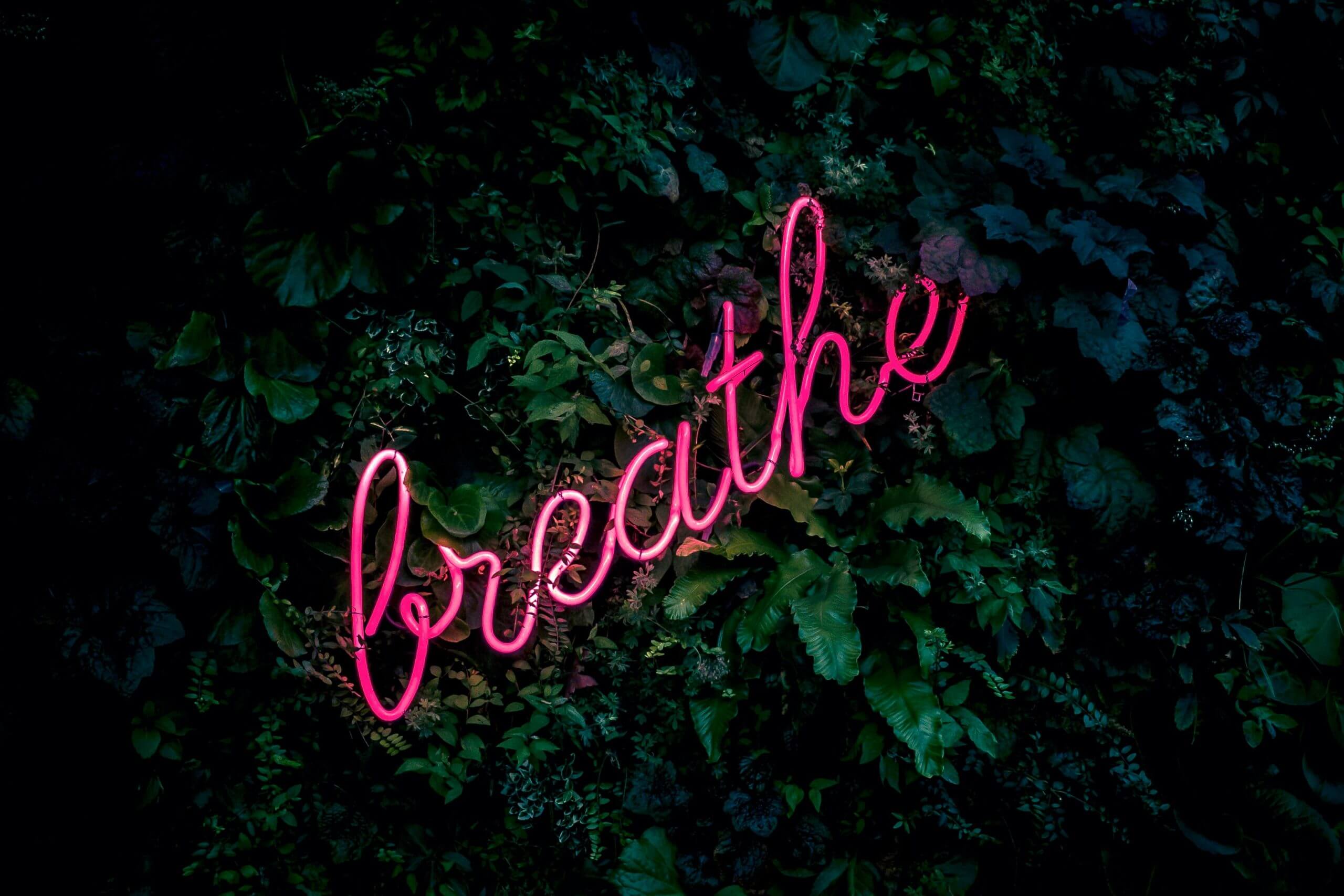 Apply Breathwork to Your Life