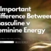 5 Important Difference Between Masculine v Feminine Energy
