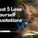 Best 5 Love Yourself Quotations