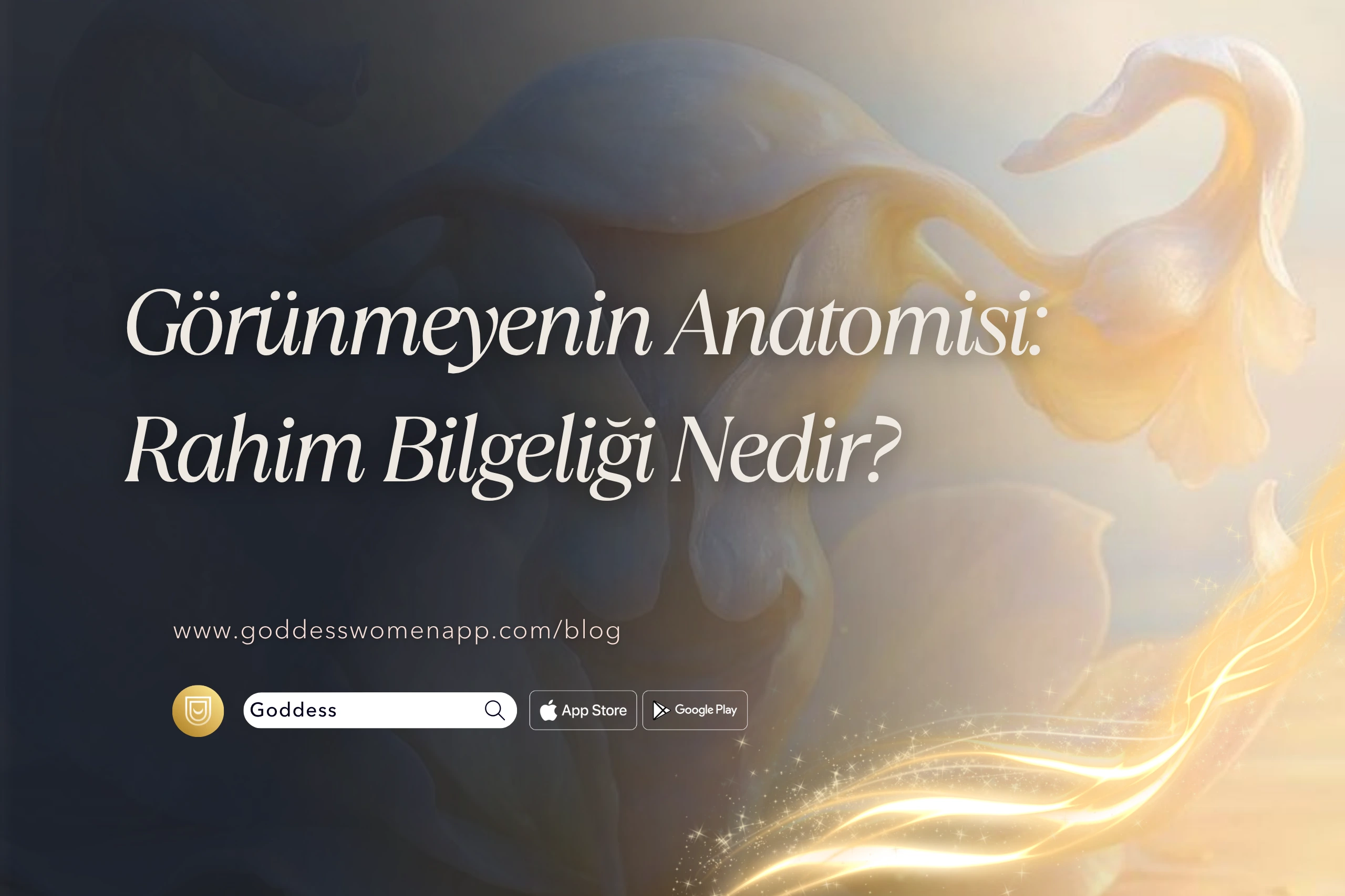 Görünmeyenin Anatomisi: Rahim Bilgeliği Nedir?