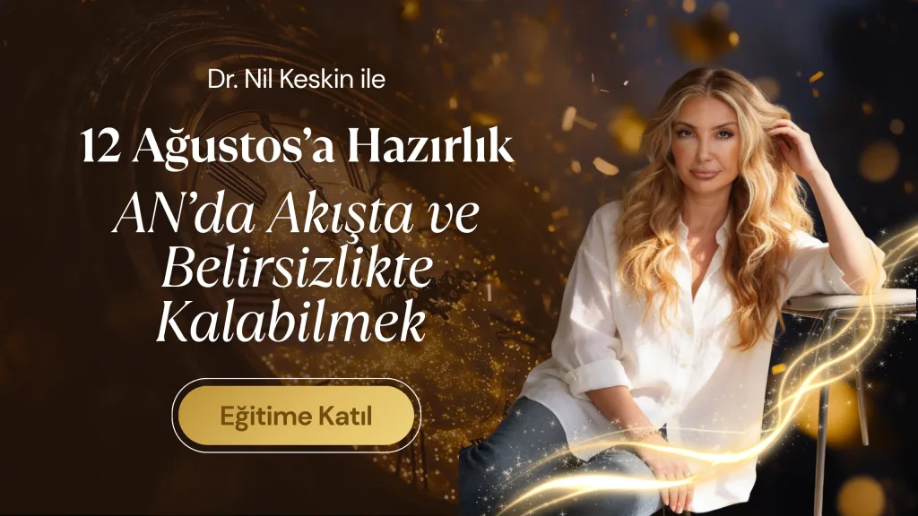 88 aslan kapısı portalı 2026